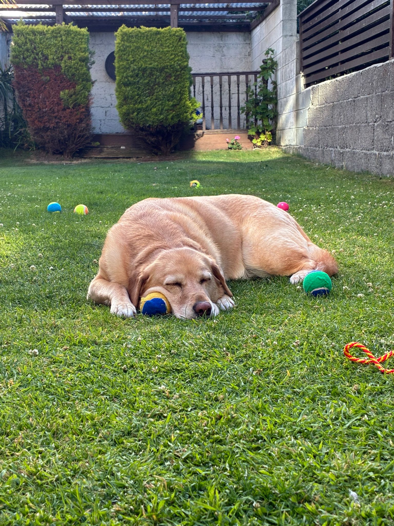 Bailey